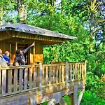 Cosy Avec Terrasse - 4 Pers. - Api-1-52-2117 キャンプ場 *